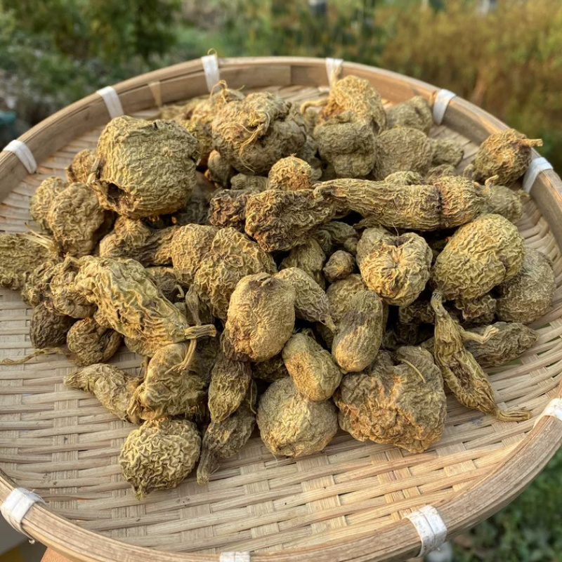 黄灵参散结结云南边境批发量大从优