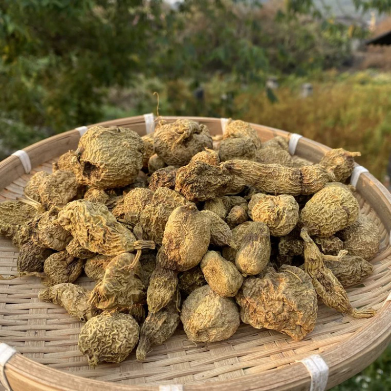 黄灵参散结结云南边境批发量大从优