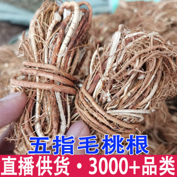 五指毛桃五指毛桃根批发