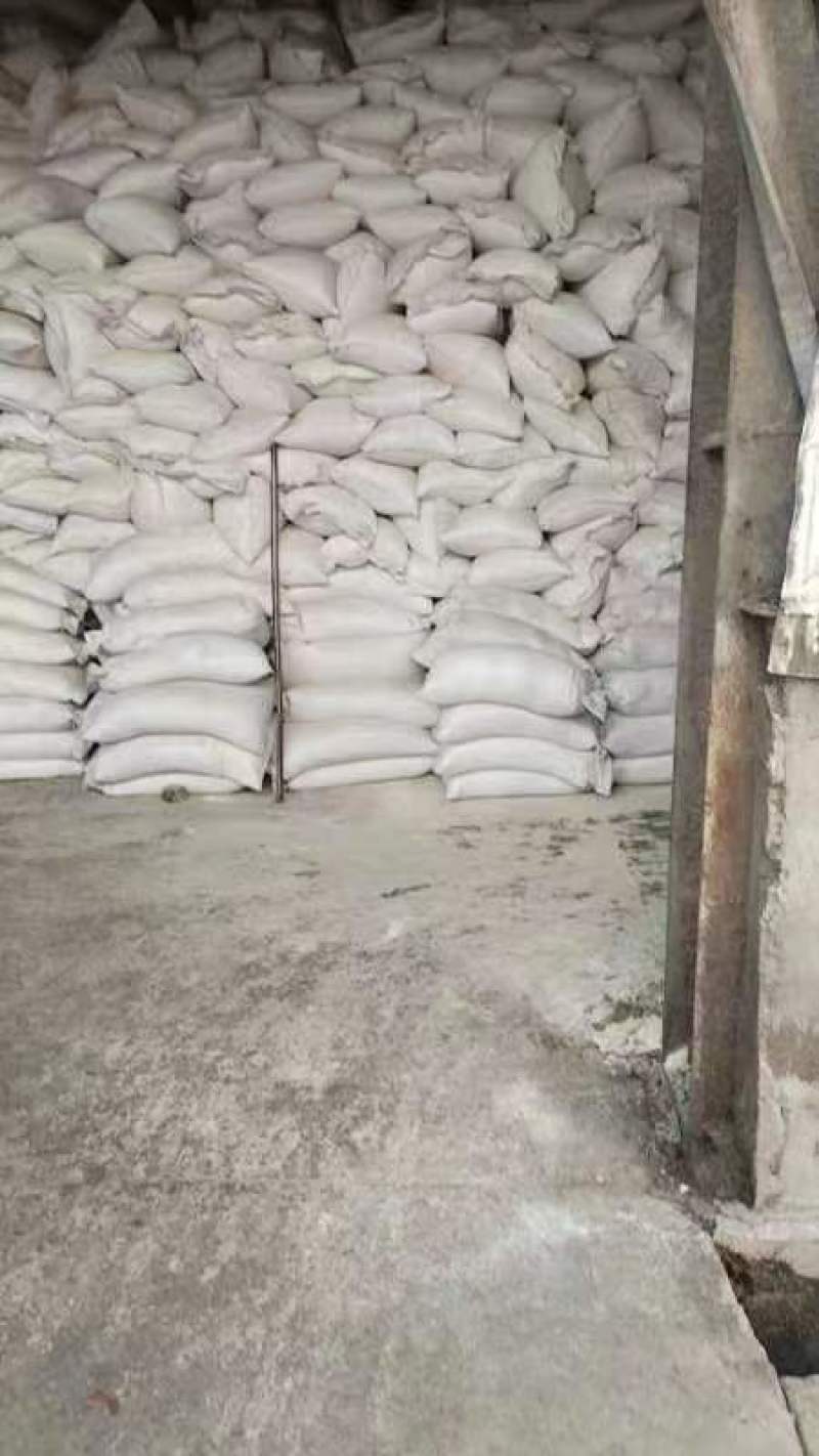 精品豆渣/闪蒸烘干豆渣湿豆渣量大从优优质豆渣欢迎老板洽谈