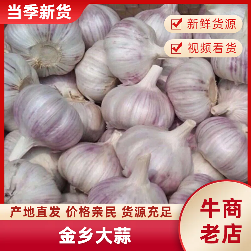 精品新大蒜金乡本地大蒜支持全国发货，可视频欢迎咨询，