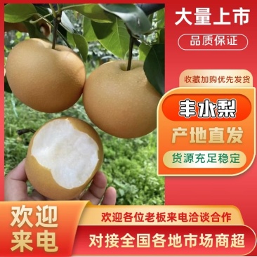 【优质】江苏梨丰水梨-秋月梨-产地直发-价格优惠-量大从优