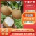 【优质】江苏梨丰水梨-秋月梨-产地直发-价格优惠-量大从优