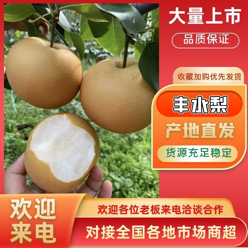 【优质】江苏梨丰水梨-秋月梨-产地直发-价格优惠-量大从优