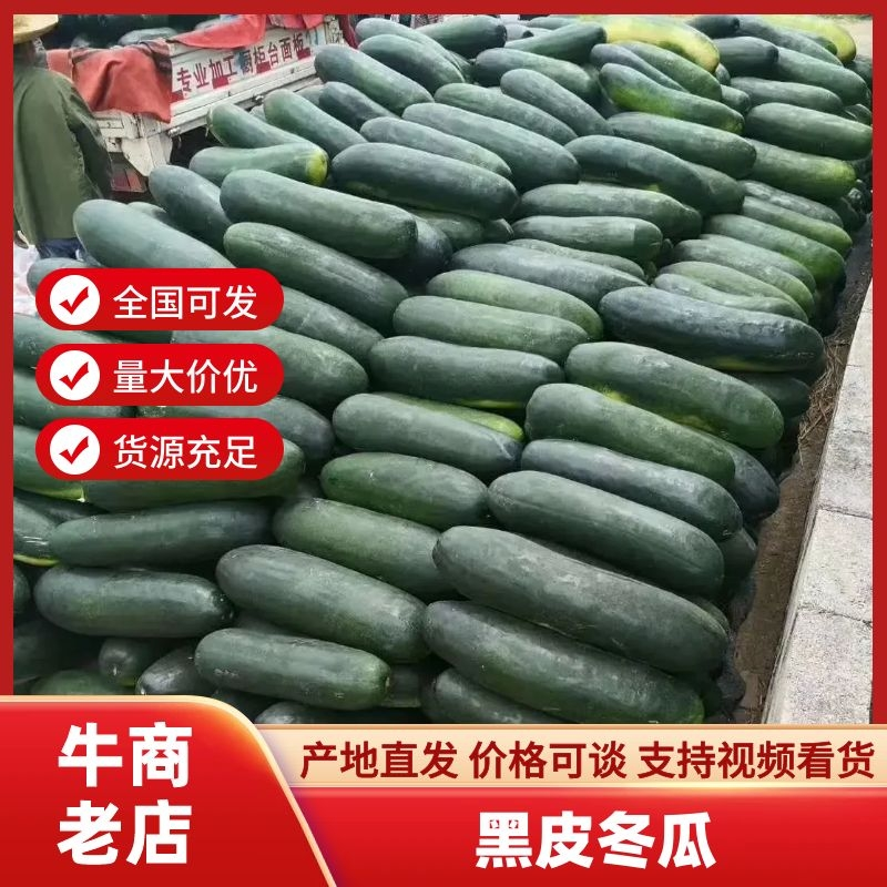 陕西大荔黑皮冬瓜大量有货产地直发量大价优欢迎咨询