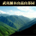 武夷山桐木金骏眉茶叶花香蜜香武夷红茶正山500gPVC