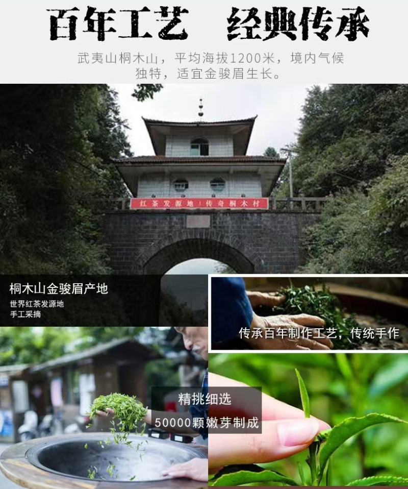 武夷山桐木金骏眉茶叶花香蜜香武夷红茶正山500gPVC