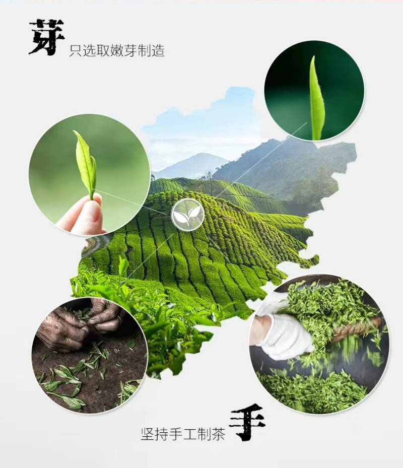 武夷山桐木金骏眉茶叶花香蜜香武夷红茶正山500gPVC