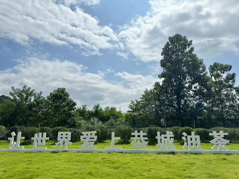 袋装一手货源折扣油茶瑶之味浓缩冲饮油茶下单包到家