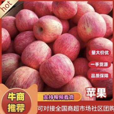 【推荐】山东红富士苹果量大无忧脆甜产地一手货源