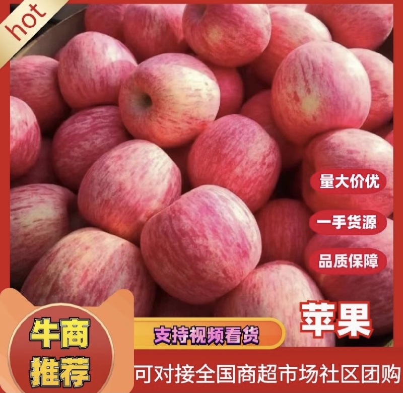 【推荐】山东红富士苹果量大无忧脆甜产地一手货源