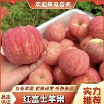 【推荐】沂源红富士苹果冷库大量出库坏烂包赔全国发货
