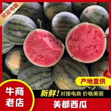 【精品】夏邑美都/无籽美都/美都西瓜/对接商场市场
