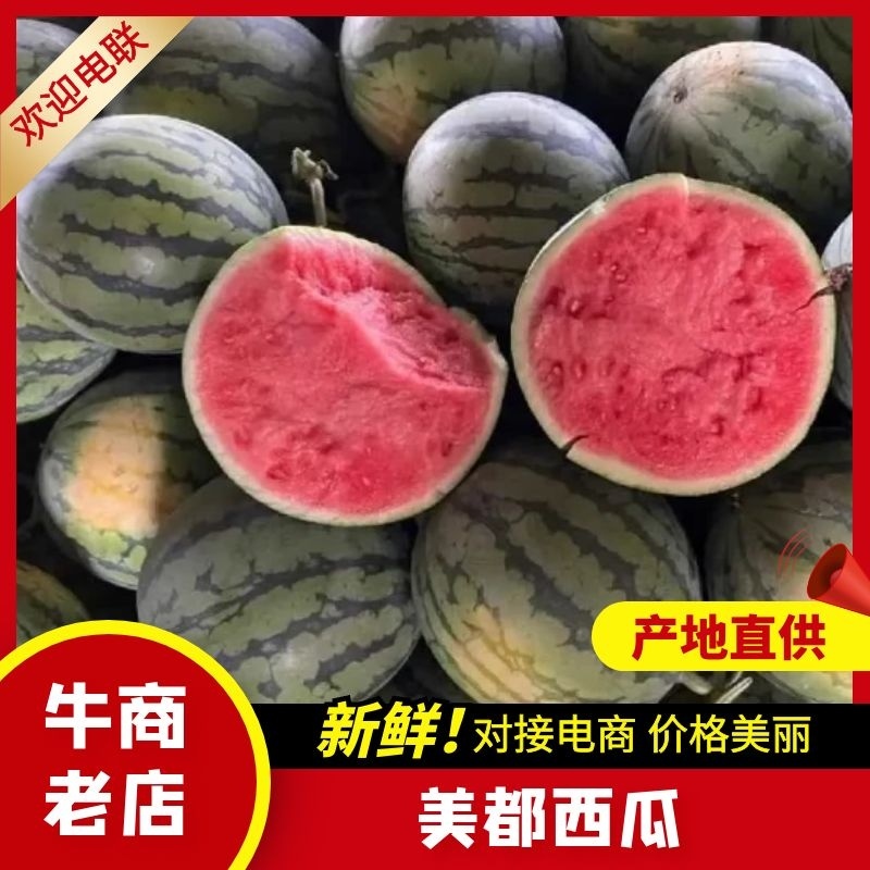 【精品】夏邑美都/无籽美都/美都西瓜/对接商场市场