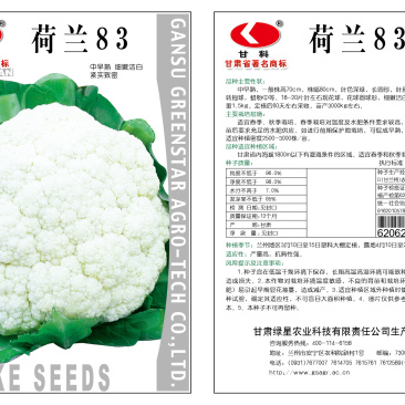 菜花种子荷兰83