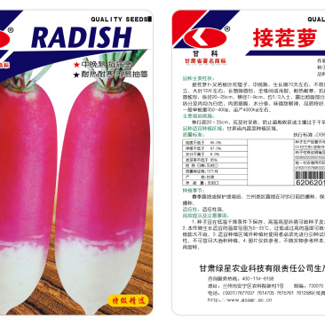 接茬萝卜种子