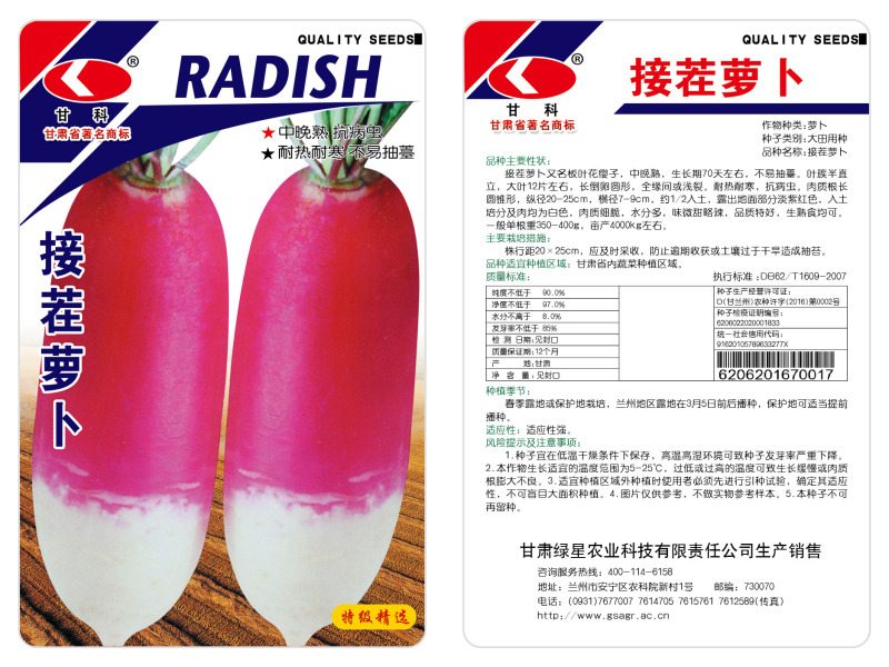 接茬萝卜种子