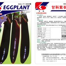 茄子甘科紫长茄