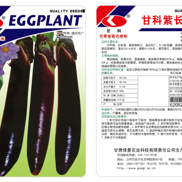 茄子甘科紫长茄