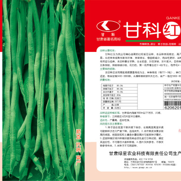 架豆种子甘科红玉