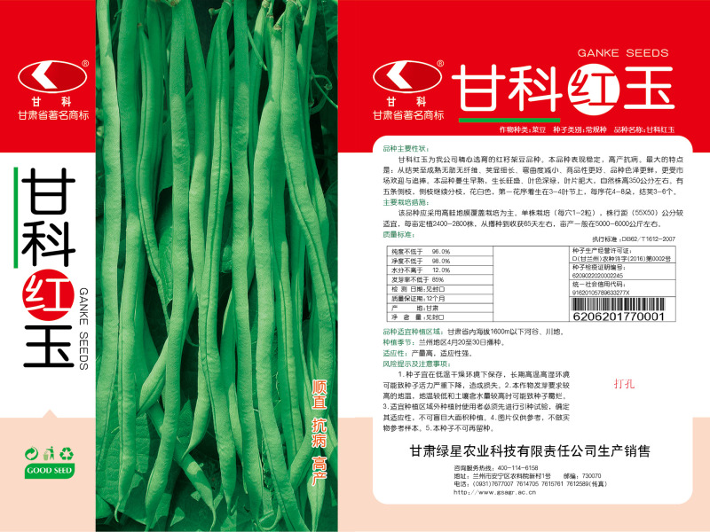 架豆种子甘科红玉