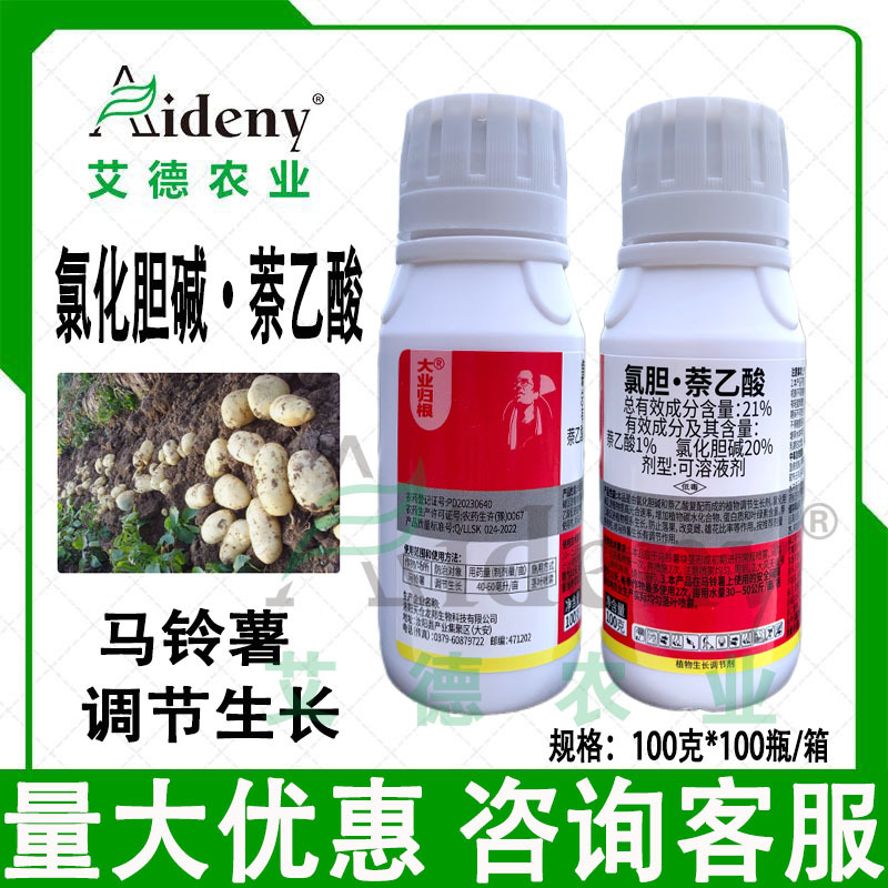 大业归根21%氯化胆碱·萘乙酸马铃薯地下根茎生长调节剂