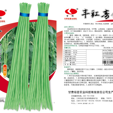豇豆种子