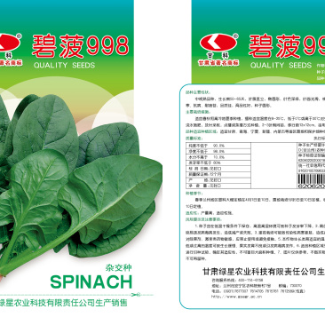 菠菜种子998