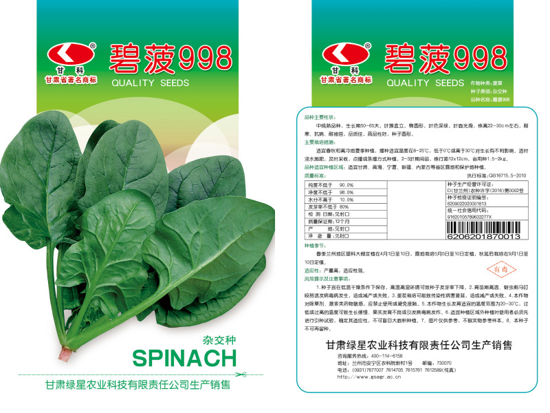 菠菜种子998