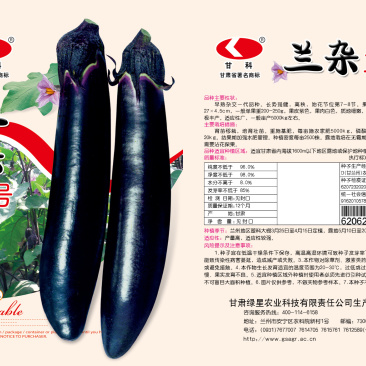 兰杂二号茄子种子