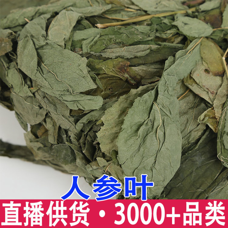 批发现货人参叶长白山特产人参叶子一件代发大货供应