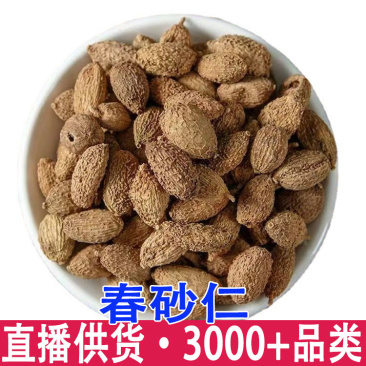 批发砂仁阳春砂春砂仁毛砂仁砂仁米各种规格量大从优