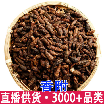 香附子籽子香附子香附承接大货量大从优附子
