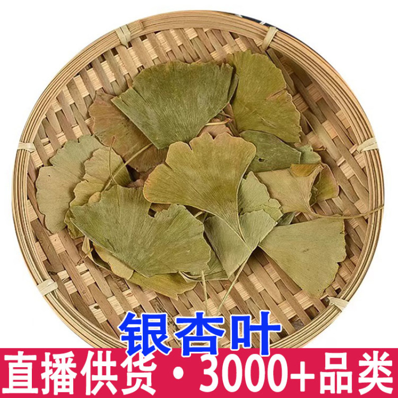 深山特级银杏叶正品新鲜精选无硫银杏茶泡茶水干货