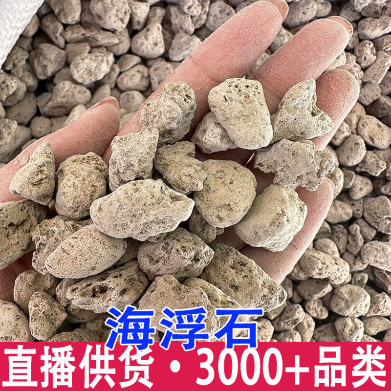 海浮石海石水泡石浮海石浮水石海浮石粉矿石一件