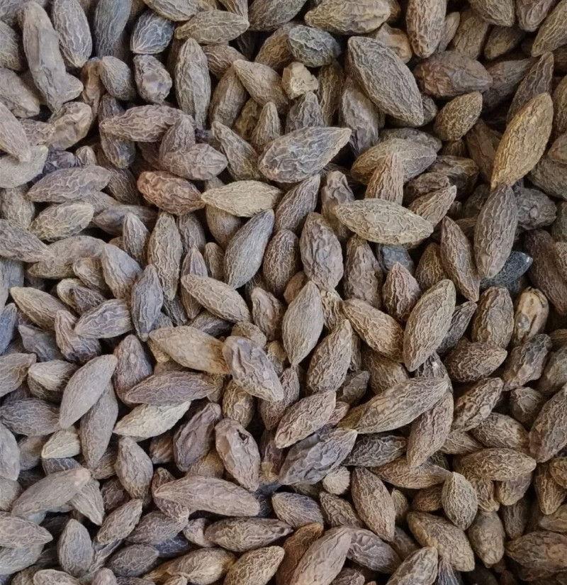 正宗西藏藏青果橄榄果甘青果大货批发量大从优