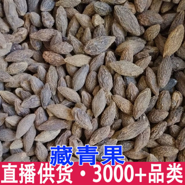 正宗西藏藏青果橄榄果甘青果大货批发量大从优