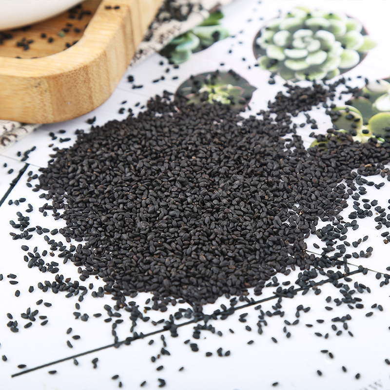 兰香子大货批发奶茶饮料厂货源商用罗勒籽一手货源直供明