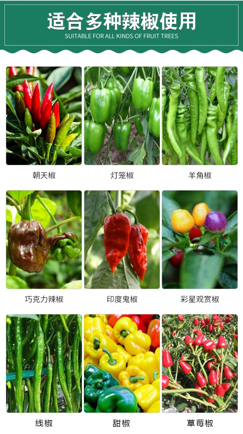 辣椒疫病清原装辣椒专用微生物菌剂杀菌防腐治病专用辣椒提质