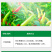 辣椒疫病清原装辣椒专用微生物菌剂杀菌防腐治病专用辣椒提质