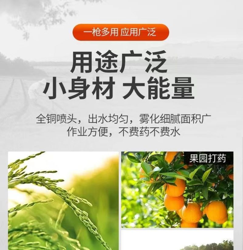 农用喷枪电动喷雾器汽油打药机高压可调果树铜喷头细雾化打药