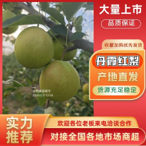 梨/丹霞红梨山西运城临猗产地直发量大从优欢迎各地客商联系