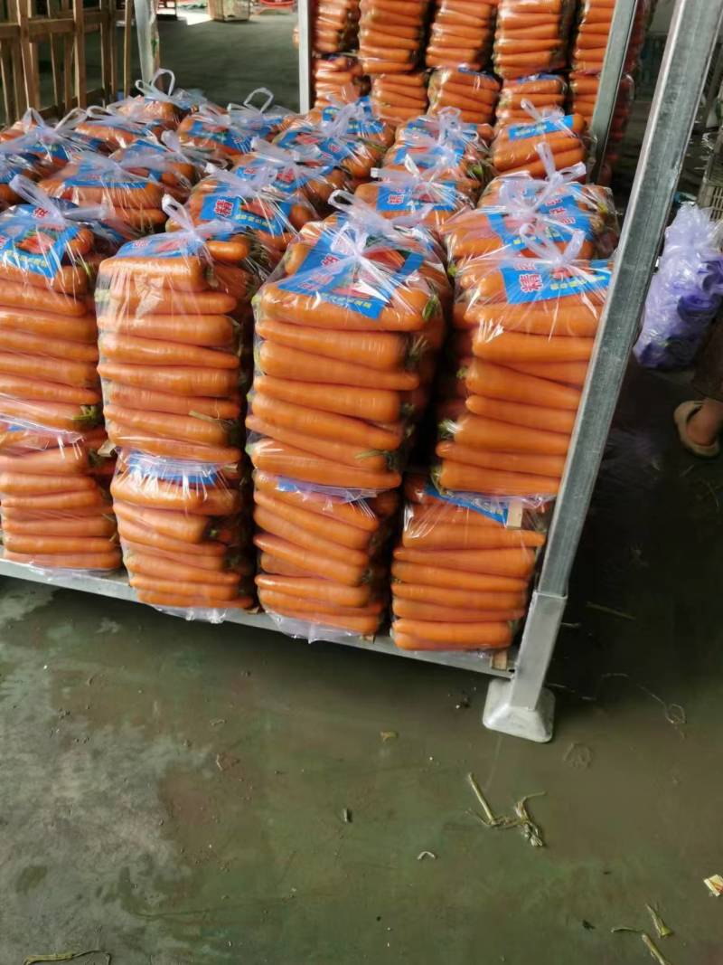 【进店】山东水洗胡萝卜大量发货，质量保证，欢迎下单