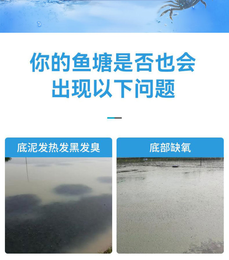 过硫酸氢钾水产改底卫士杀菌净水调水稳水厂家直销