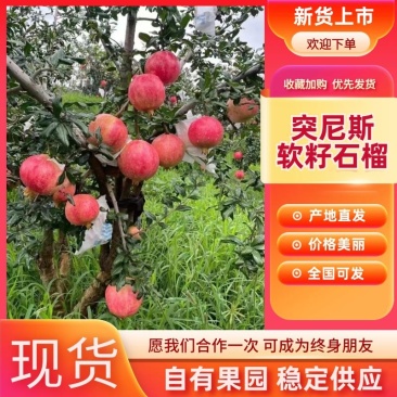 突尼斯软籽石榴，应季热销皮薄汁水多纯甜无酸