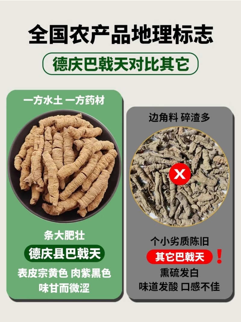 巴戟天天然无硫巴戟天滋补中药材