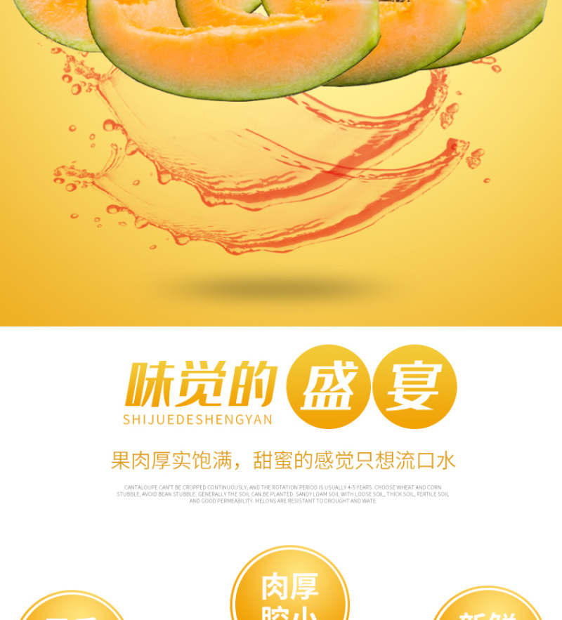 耀龙25号哈密瓜