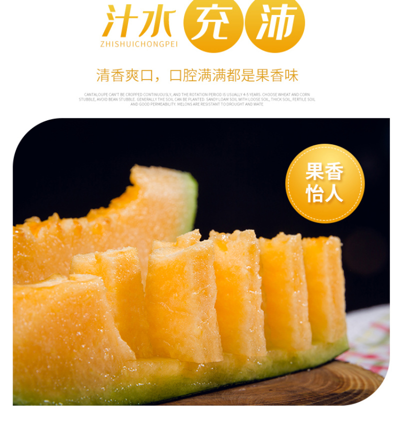 耀龙25号哈密瓜