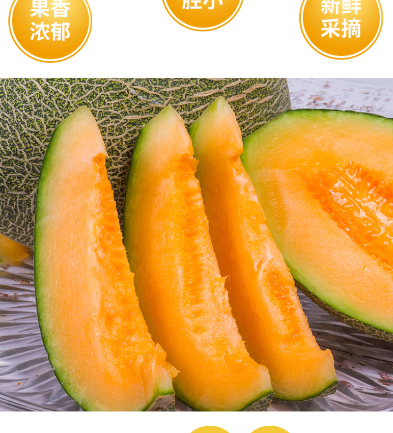 耀龙25号哈密瓜