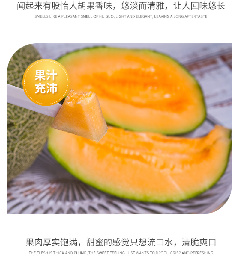 耀龙25号哈密瓜